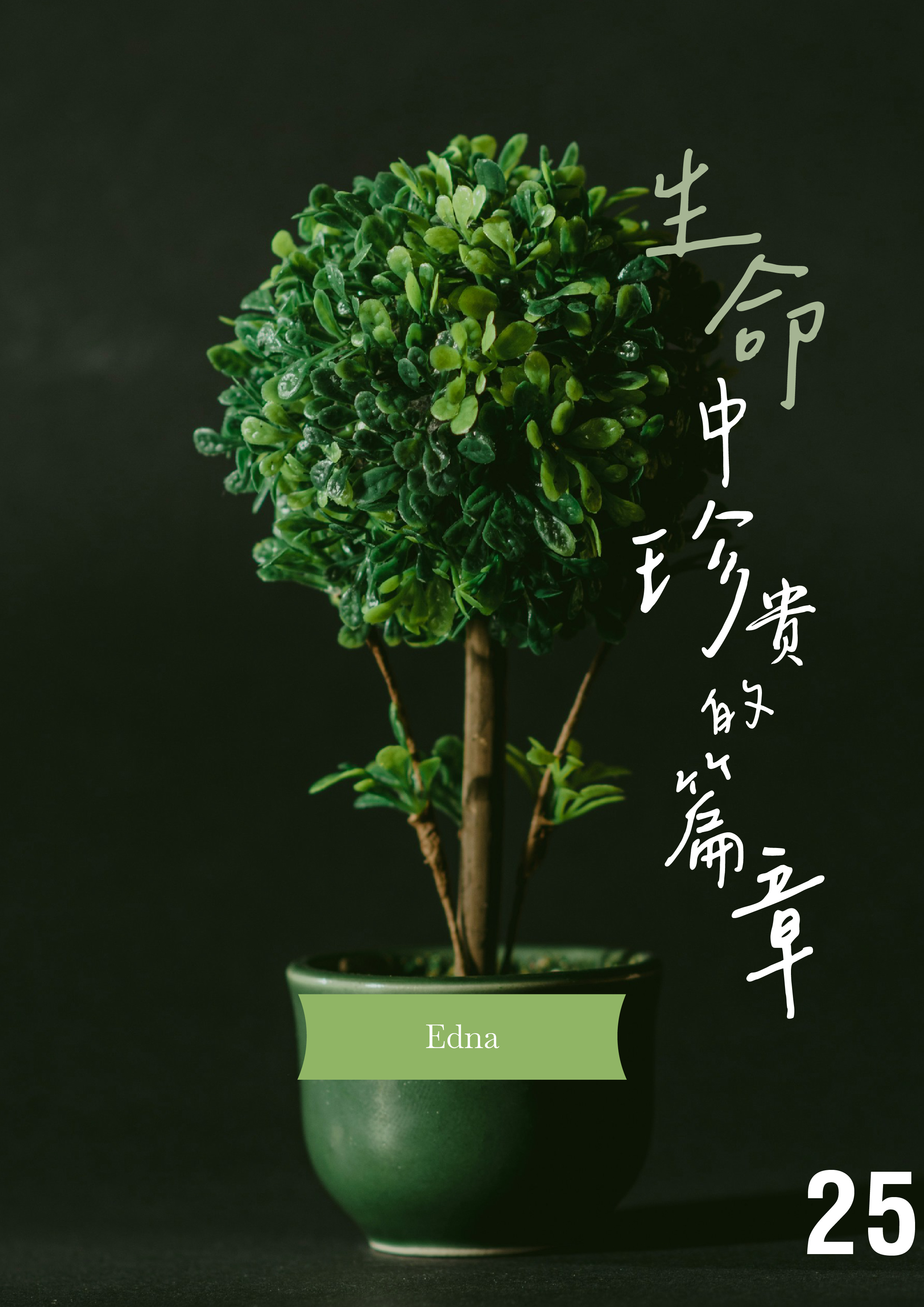 BTS partnership Chi 2025 Dec_25